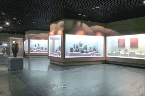 德州市博物馆 数字创意赋能，荣膺省十大精品陈列展览优秀奖